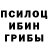Галлюциногенные грибы GOLDEN TEACHER tslmnZ