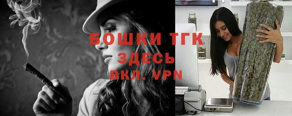соль ск Горнозаводск