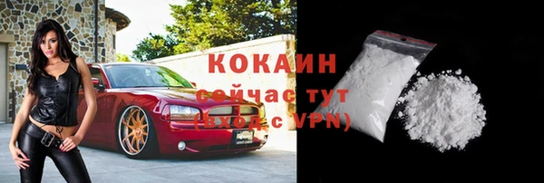 соль ск Горнозаводск