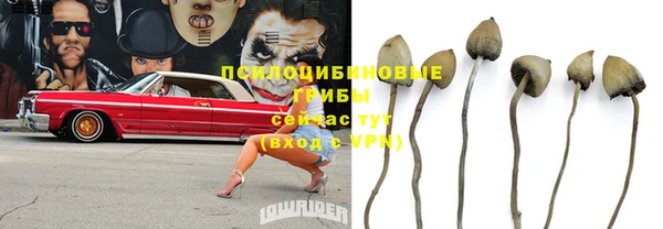 соль ск Горнозаводск