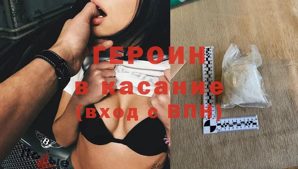 гидра Горняк