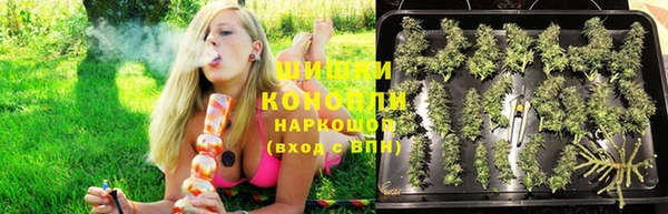 соль ск Горнозаводск