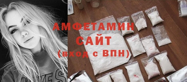 гидра Горняк