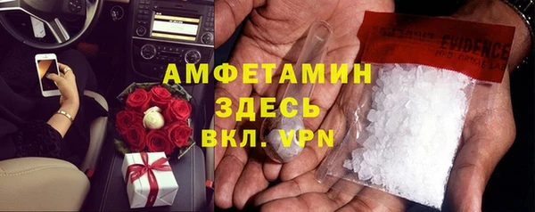 гидра Горняк