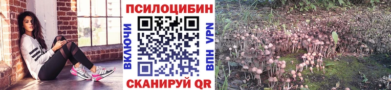 KRAKEN вход  Дятьково  Псилоцибиновые грибы мухоморы 